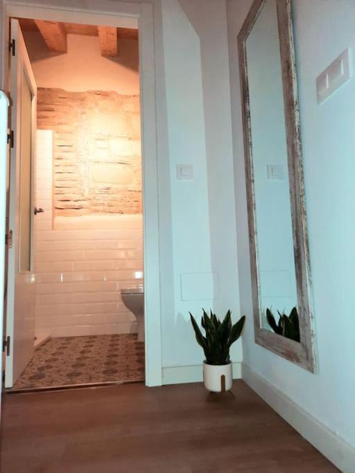 Apartament Loft Centrico Con Patio Bodega San Javier Jerez de la Frontera Zewnętrze zdjęcie